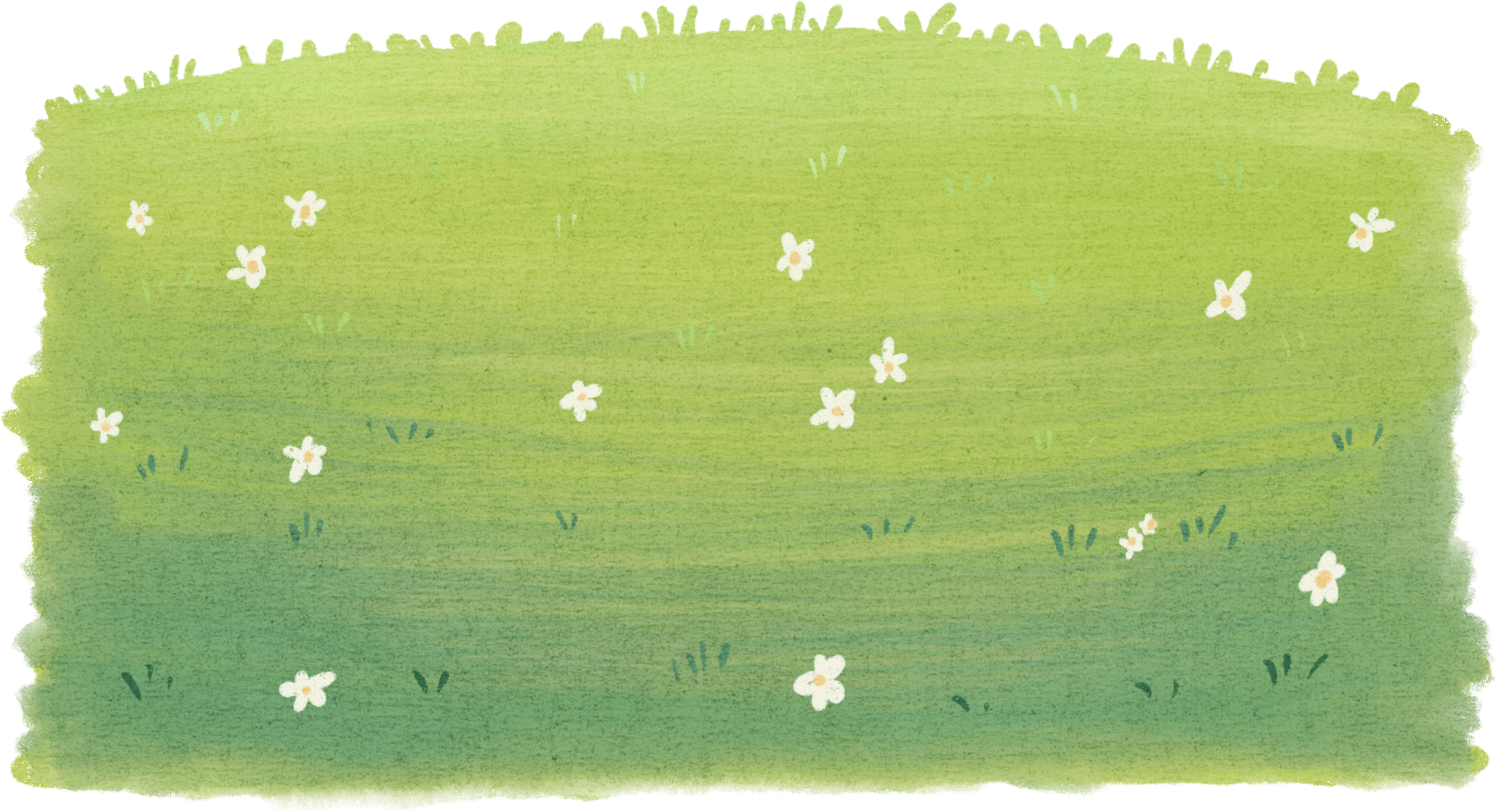 Grass Watercolor Illustration